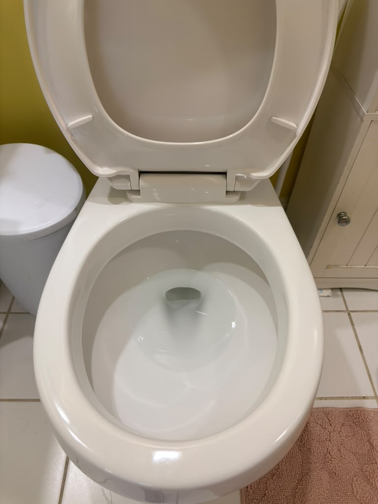 Toilet Deep Clean after cleaning