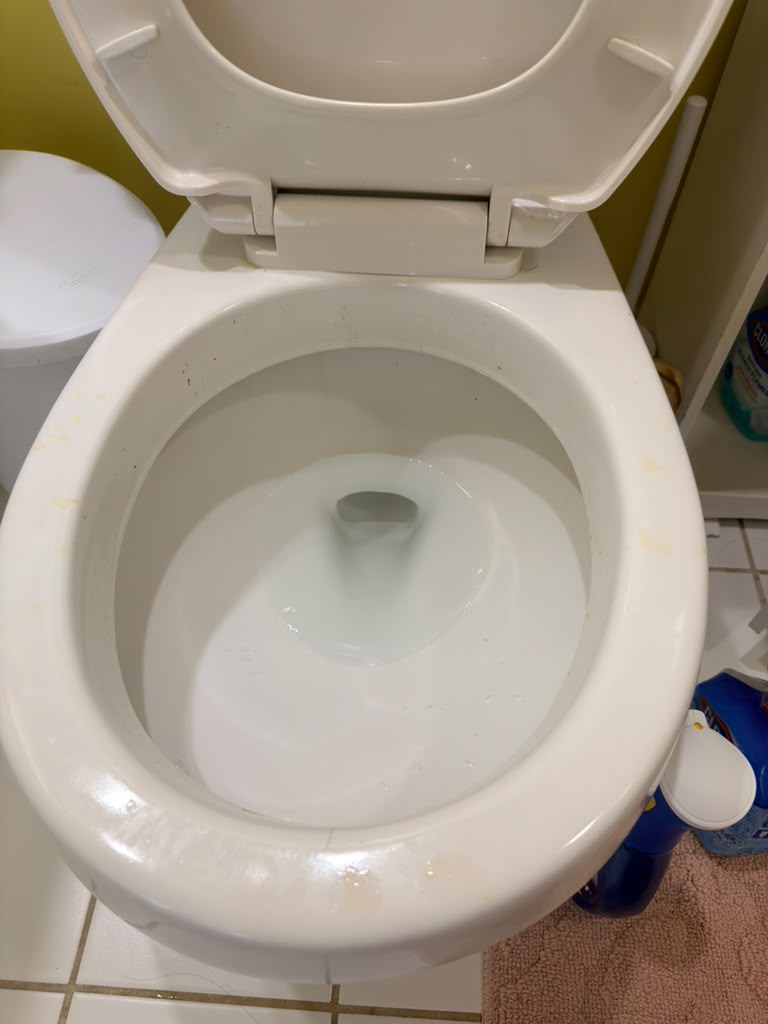 Toilet Deep Clean before cleaning