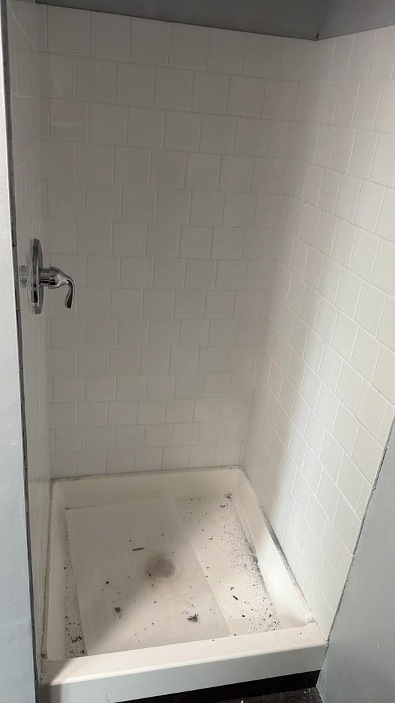 Shower Deep Clean before cleaning